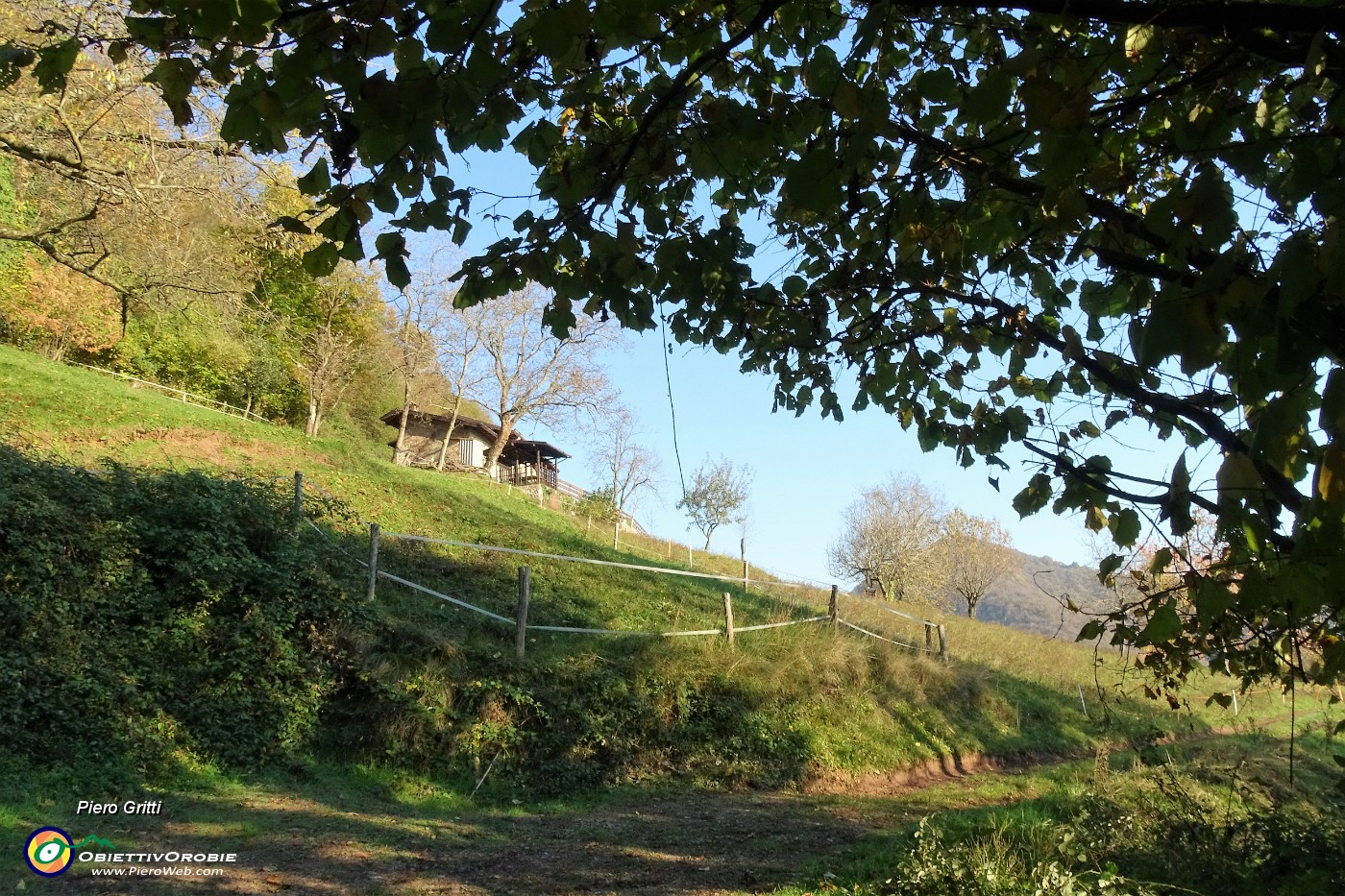 55 A questo punto dalla strada si passa al sentiero nel bosco a sx.JPG